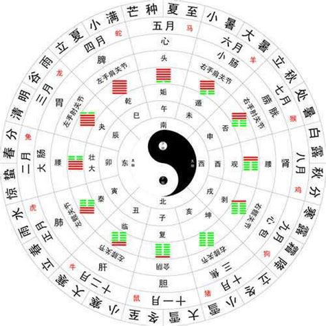 丑、寅、辰、巳|天干和地支｜香港天文台(HKO)｜曆